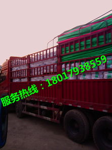 上海到云南省臨滄市物流貨運 貨物運輸價格 廠家 圖片