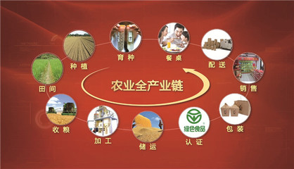 東方糧倉 有機稻谷種植研發(fā)領(lǐng)軍者，榮膺農(nóng)業(yè)產(chǎn)業(yè)化國家重點龍頭企業(yè)