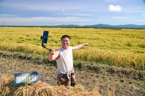 新農(nóng)人 種下有機稻谷，留住鄉(xiāng)村希望