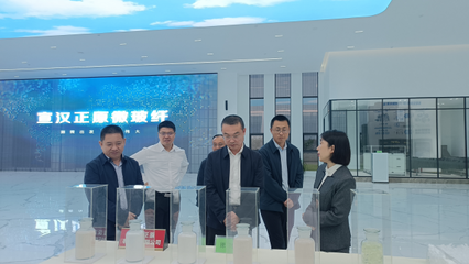 省科技廳巡視員王建偉赴宣漢縣調研科技創新工作，重點關注有機稻谷種植研發