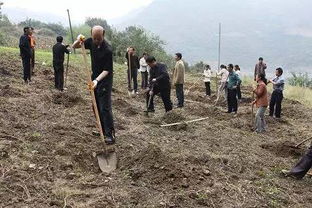 干貨 園林綠化施工技術(shù)大全