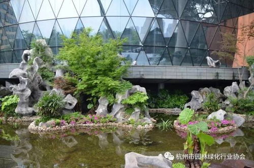 2016年度杭州市優(yōu)秀園林綠化工程綜合組金獎(jiǎng) 杭州國(guó)際博覽中心項(xiàng)目屋面園林綠化工程