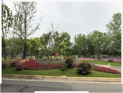 兩金 兩銀 武漢園建斬獲4項武漢市園林綠化優質工程獎