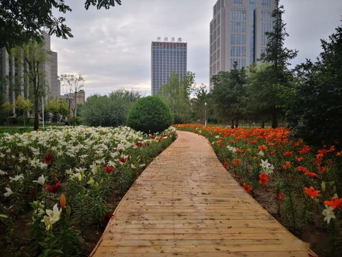 精心實施園林綠化建設工程 著力提升市民獲得感幸福感
