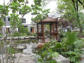 【南寧信譽好的南寧園林綠化施工廣西園林綠化施工】-