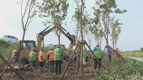 你心心念念的這條路,到這一步了