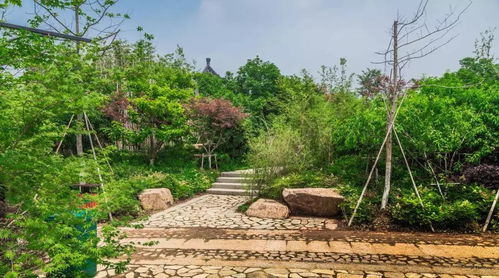 園林鋪裝大全,讓園林更具藝術