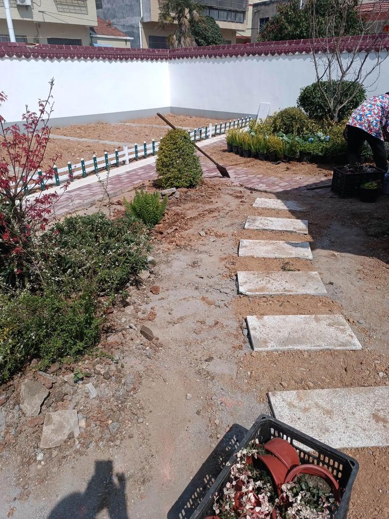 單位綠化施工現(xiàn)場(chǎng)#園林景觀 #景觀工程