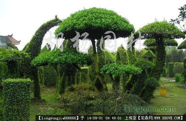 園林景觀藝術(shù)與工程實踐 從雕塑小品到綠化實景的完整圖鑒