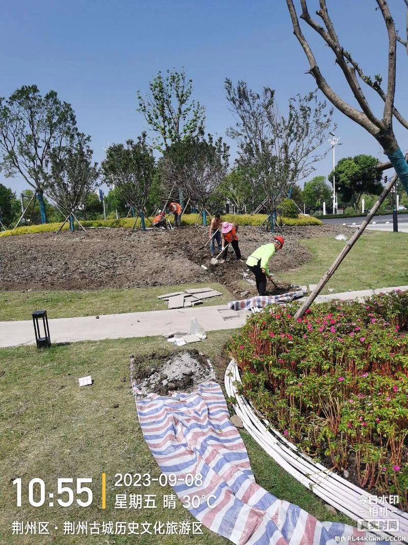 現(xiàn)場實拍 體育場地設施工程施工——景區(qū)建設中的園林綠化工程新篇章